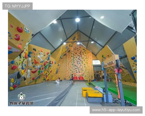 迷你攀岩挑战：新鲜有趣的攀岩体验，小型攀岩